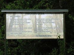 Posba lesa