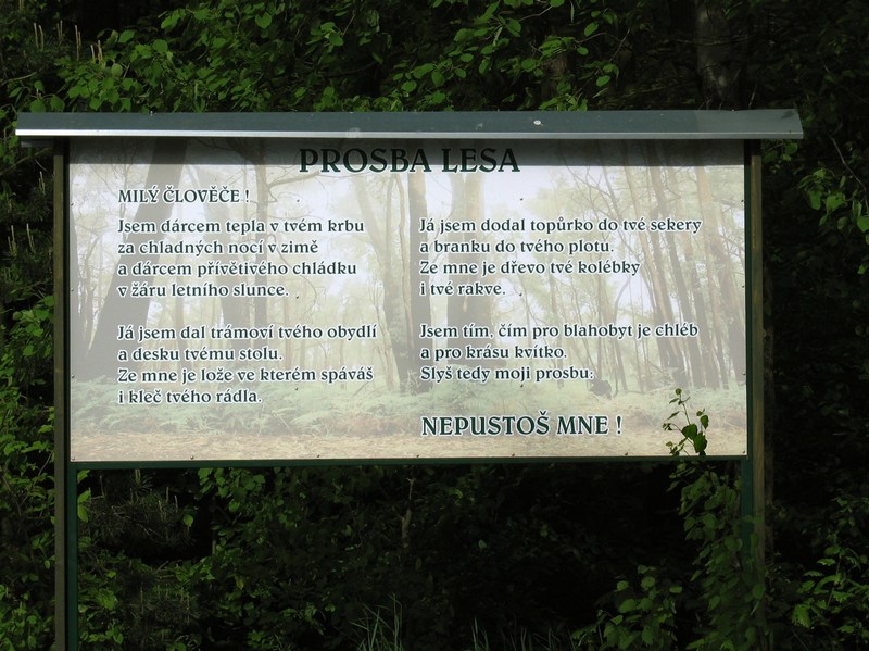 Prosba lesa