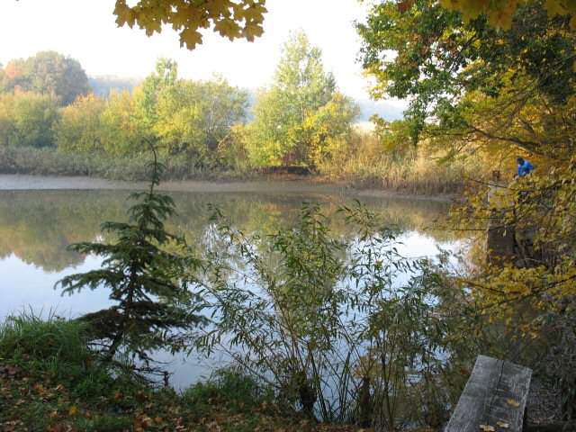 Horní rybník je již z velké části vypuštěn.