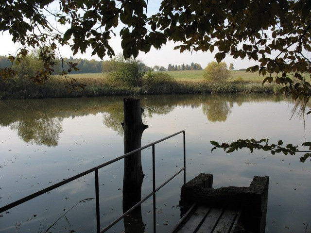 Dolní rybník U Jejkala očekává výlov až v roce 2007.