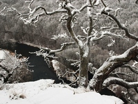 zimní pohled na údolí řeky Dyje
