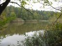 Horní rybník U Jejkala čeká na výlov v příštím, "sudém" roce